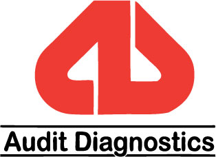 Продукция Audit Diagnostics