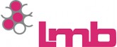 Lmb Technologie GmbH Lmb Technologie GmbH