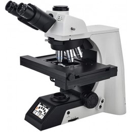NE950