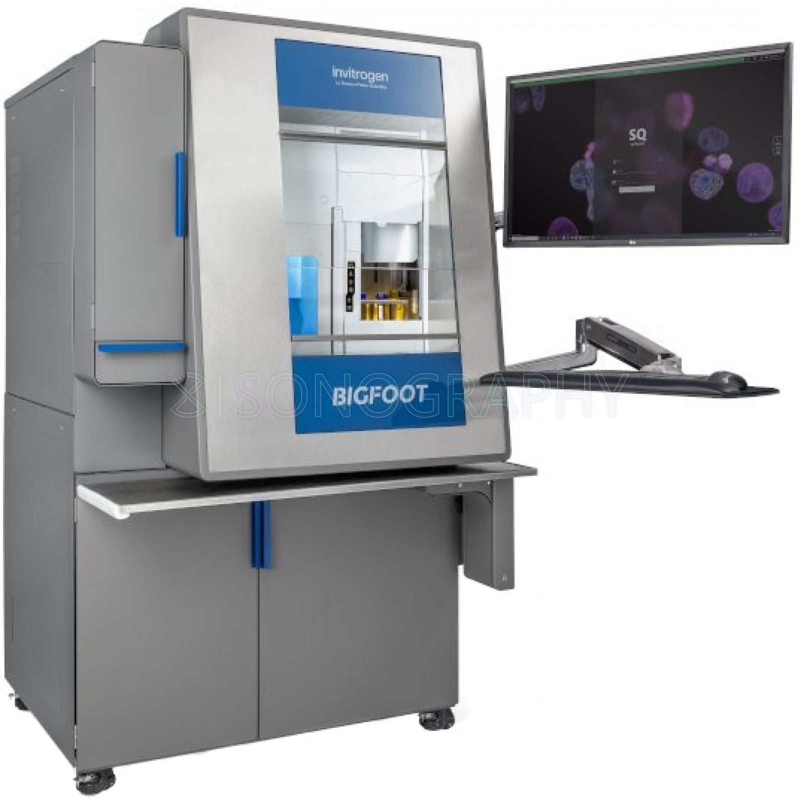 Thermo Fisher Scientific Bigfoot