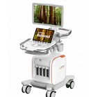 Siemens Acuson Redwood