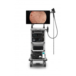 HD-650